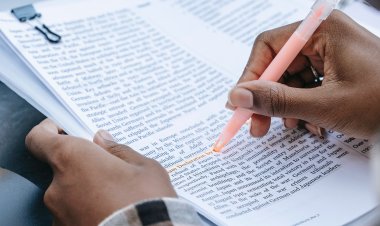 Revolht a reçu le rapport de Madame Bekolo